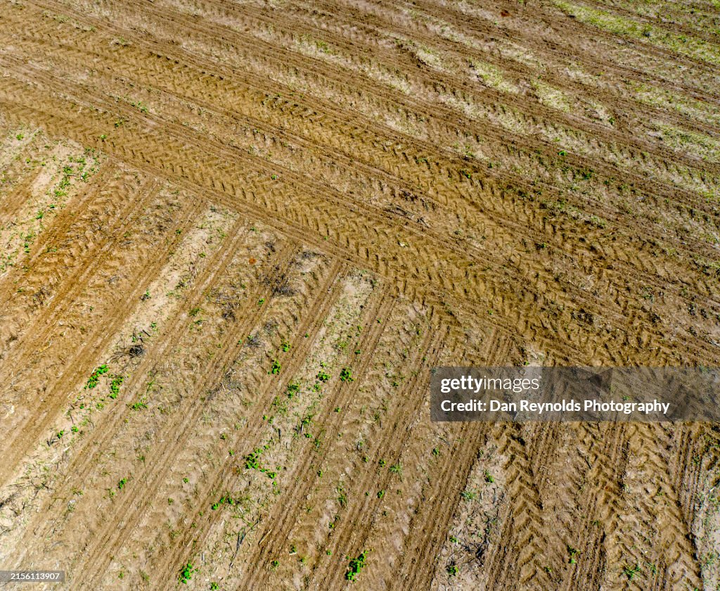 Farmland -Agriculture-Drone View