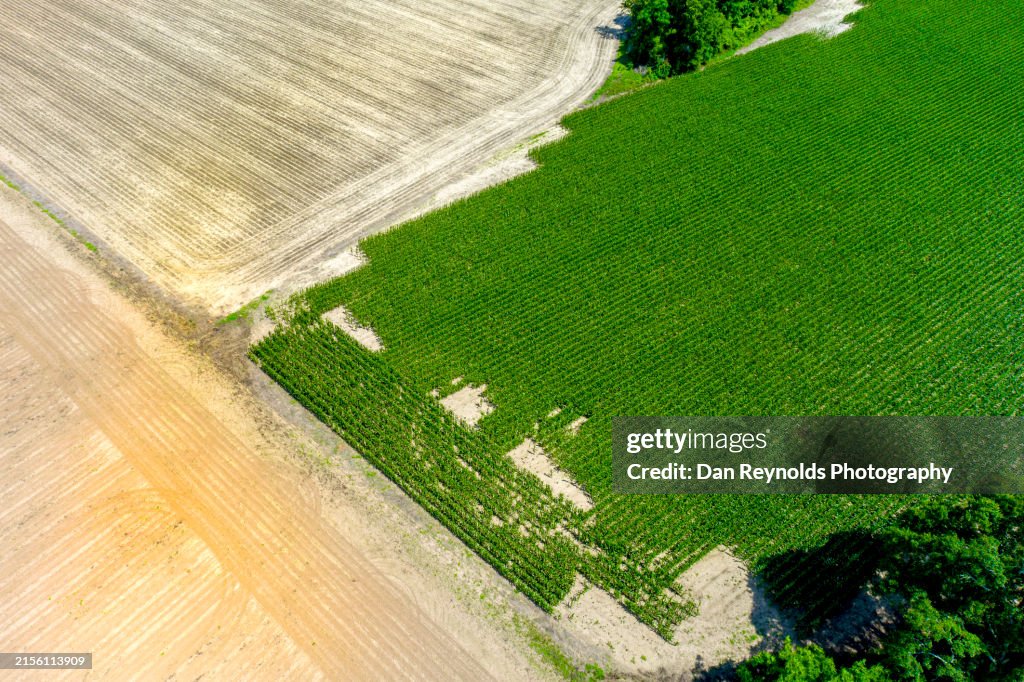 Farmland -Agriculture-Drone View