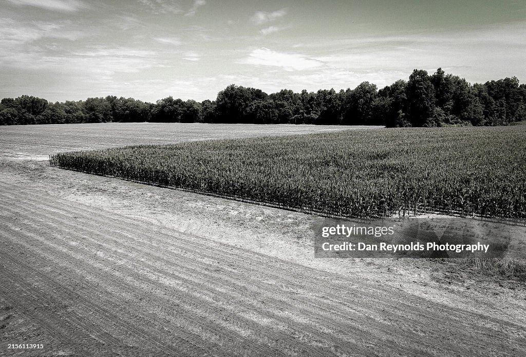 Farmland -Agriculture-Drone View