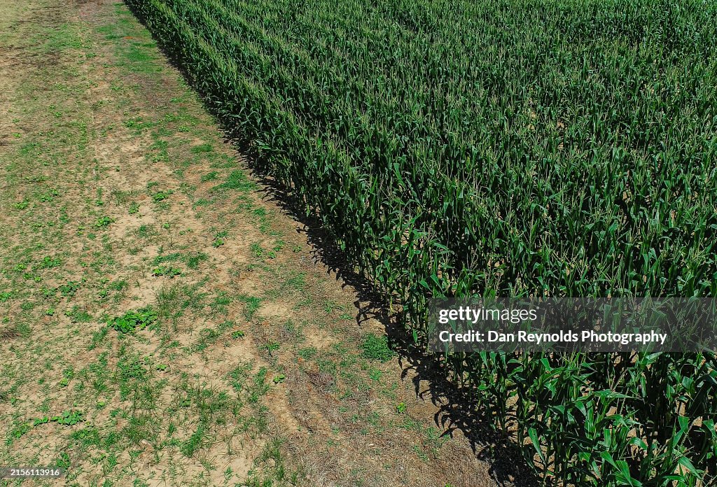 Farmland -Agriculture-Drone View