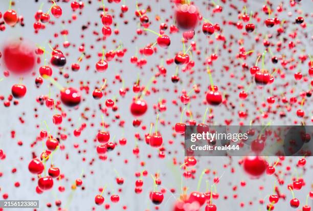 Cheerio Pattern 231 Cheerios Pattern Stock Photos, High-Res Pictures, and Images ...
