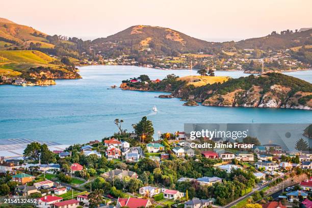 views from port chalmers across to portobello otago peninsula at sunset - dunedin new zealand stock pictures, royalty-free photos & images