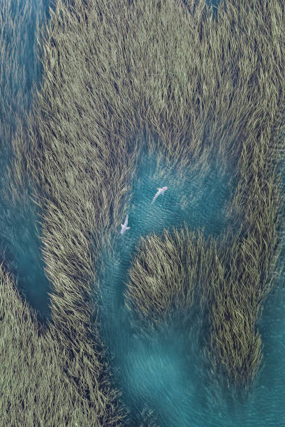 2 810 Hidden River Stock Photos High Res Pictures And Images Getty 2-810-hidden-river-stock-photos-high-res-pictures-and-images-getty