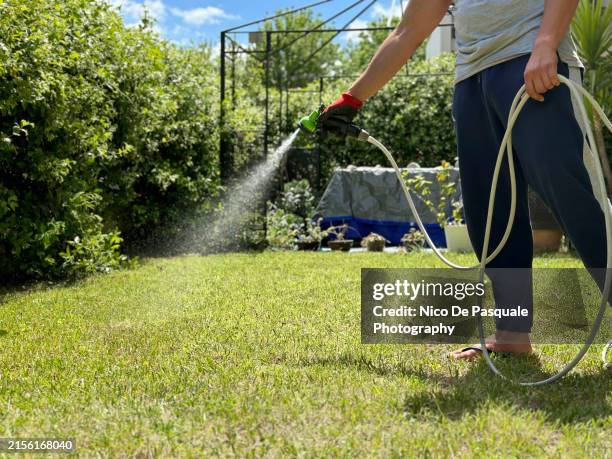 young man gardening - grasveld stockfoto's en -beelden