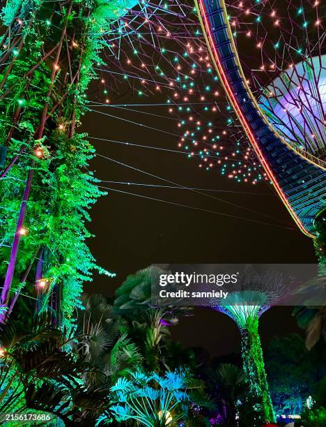 singapore - super tree in garden by the bay - singaporean culture stock pictures, royalty-free photos & images