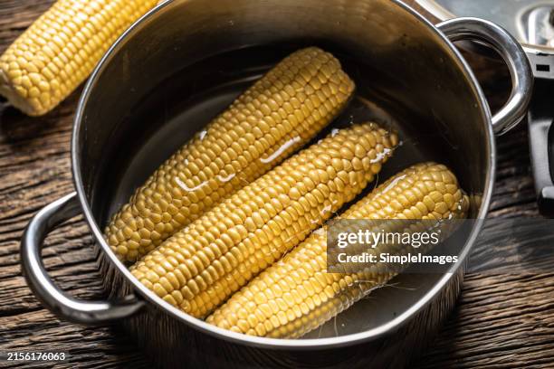 freshly shelled corn is ready to cook in a pot - close up. - espiga de milho imagens e fotografias de stock