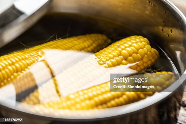 beautiful yellow boiled corn in a pot on the stove. - boiled stock pictures, royalty-free photos & images