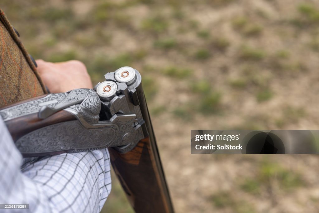 Shotgun Barrel With Cartridges