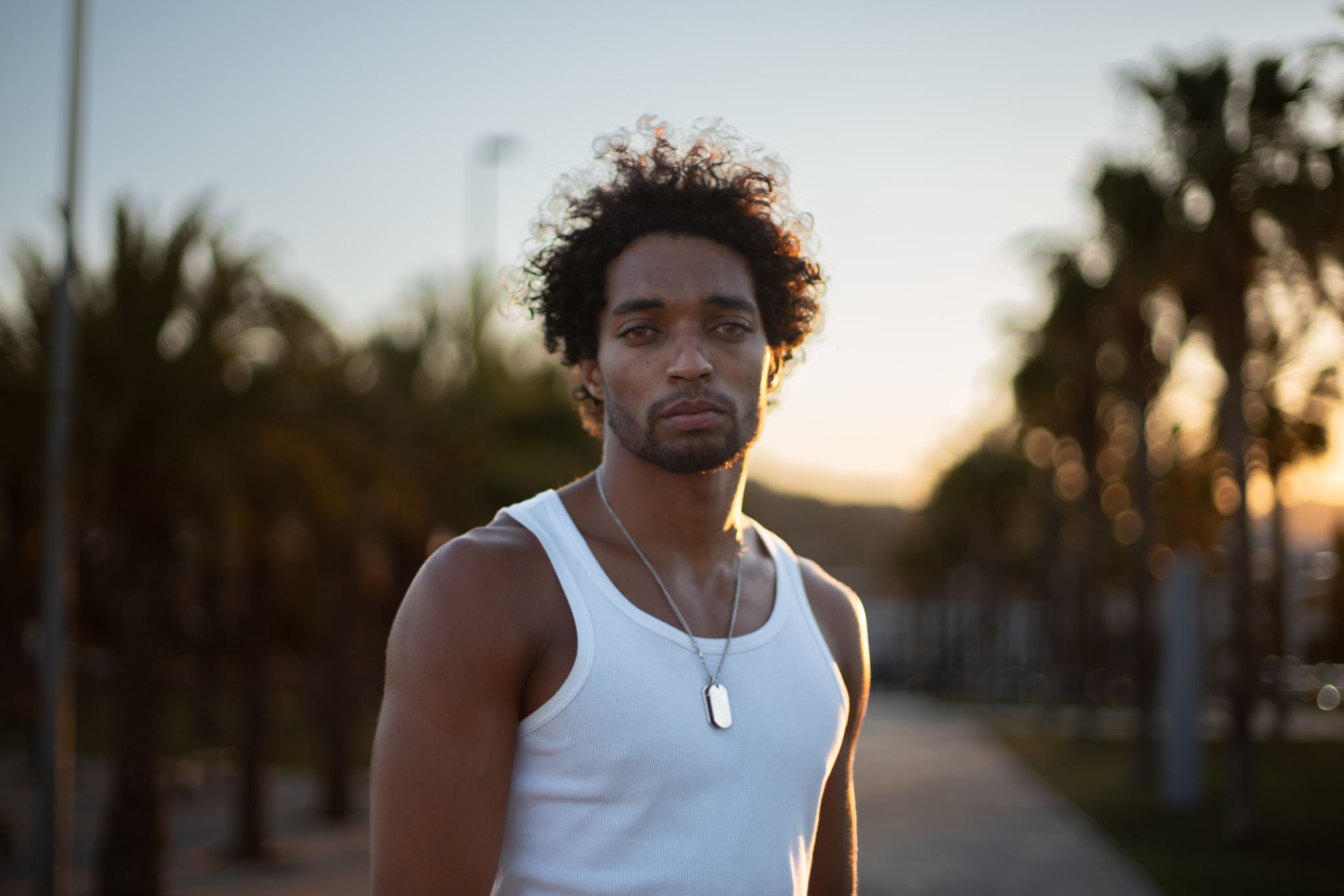 Hip young Brazilian male model posing in front of palm trees at sunset. Hip young Brazilian male model posing in front of palm trees at sunset.