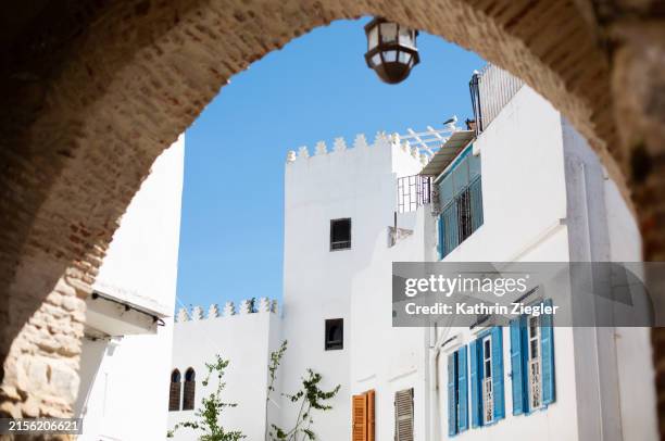 tangier medina, morocco - tanger stock-fotos und bilder