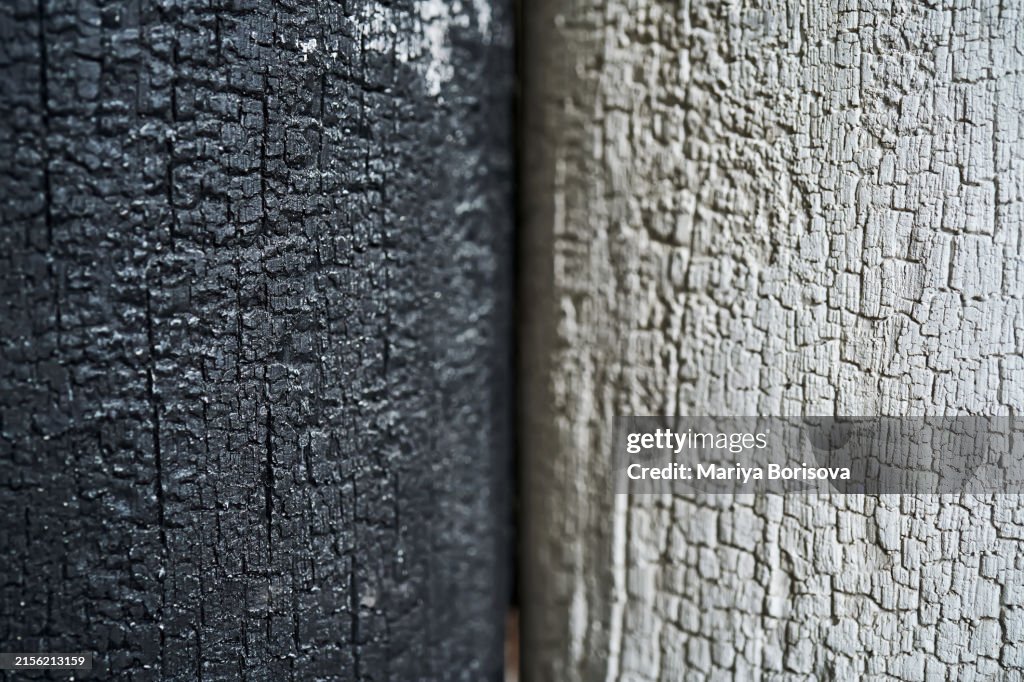 Texture of black charred wood and burnt wood with white ash..