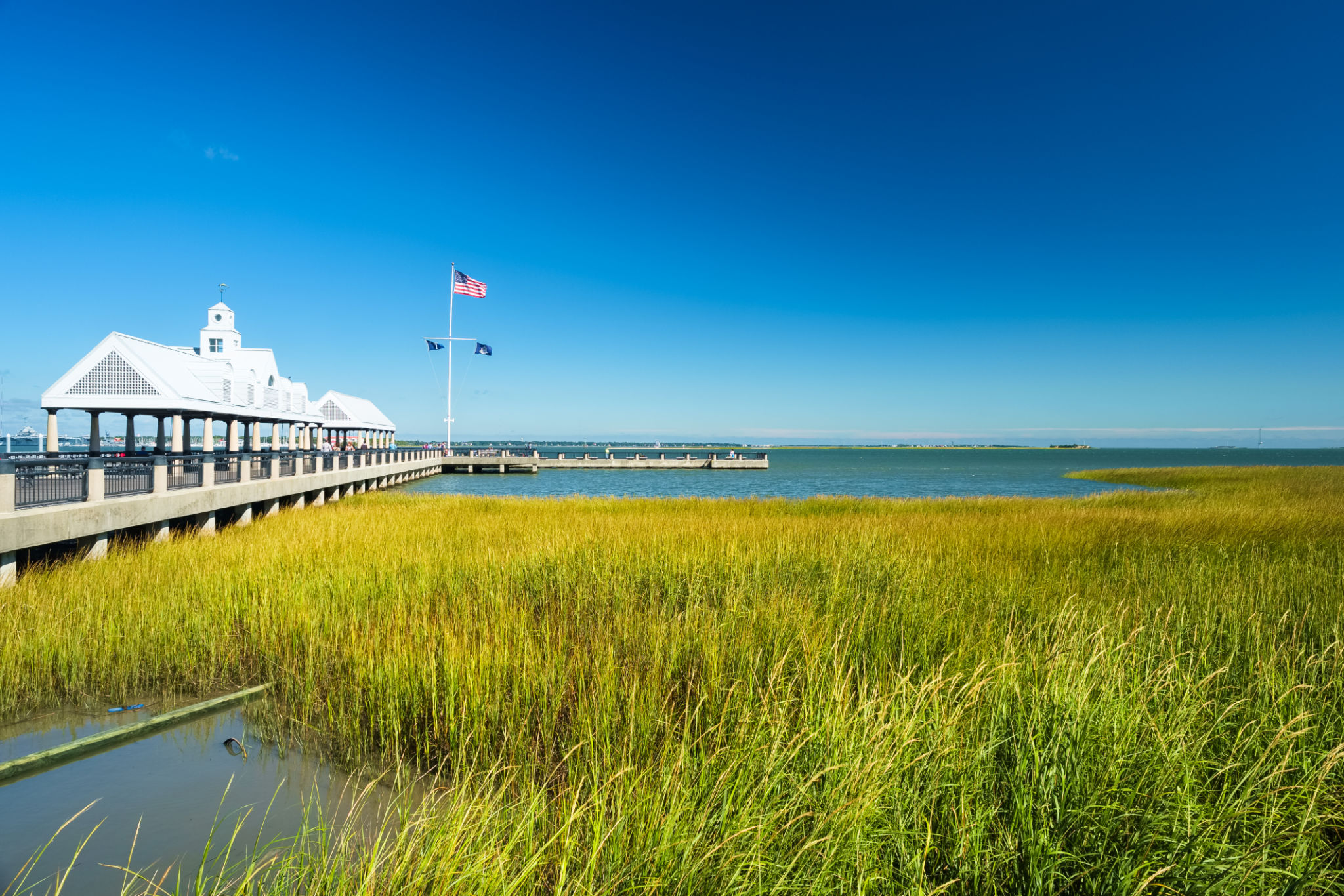 south carolina nature