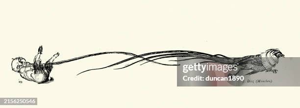 mythical creature, faun pulling a pheasant's tail feather, art nouveau, jugendstil, 1890s, 19th century - greek mythology stock illustrations