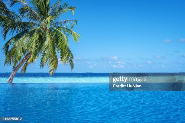 infinity swimming pool with sea view on tropical island resort - infinity pool stock pictures, royalty-free photos & images
