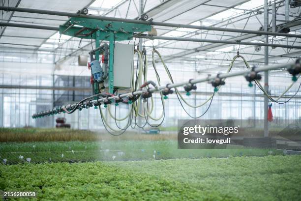 automatic watering system - greenhouse stock pictures, royalty-free photos & images