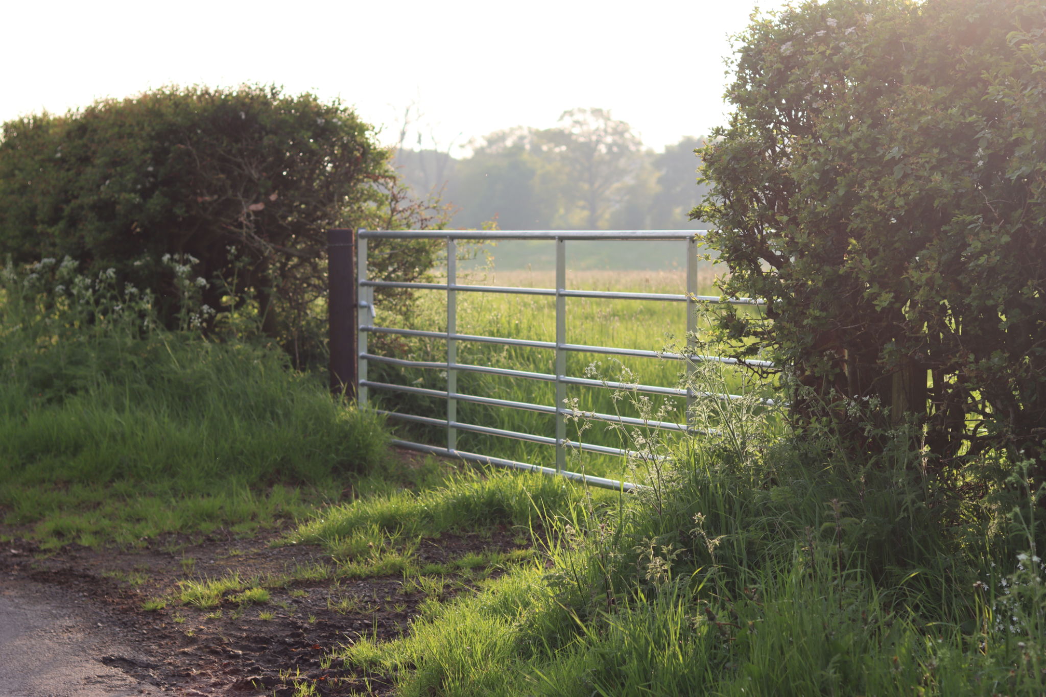 Morning sunlight shining through a countryside field gate Morning sunlight shining through a countryside field gate