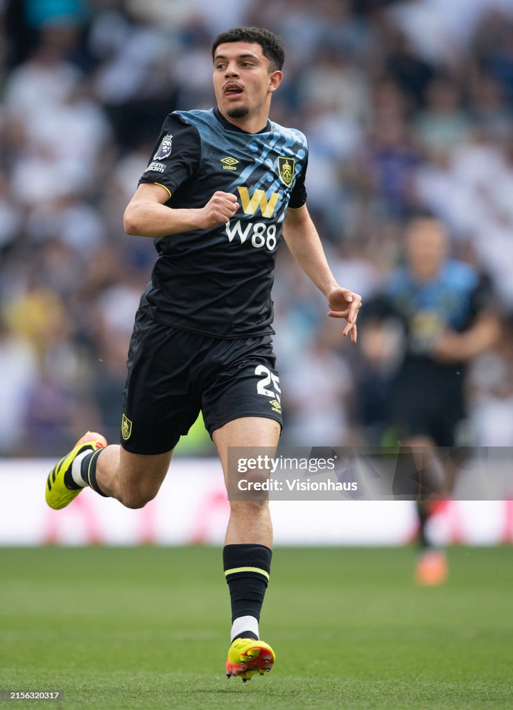 Tottenham Hotspur v Burnley FC - Premier League
