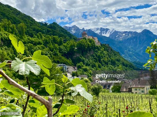 liechtenstein - vaduz - schloss vaduz - vaduz stock pictures, royalty-free photos & images