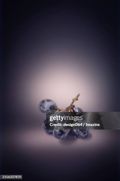 grapes, campbell grapes, fruit, food - bilberry england stock pictures, royalty-free photos & images