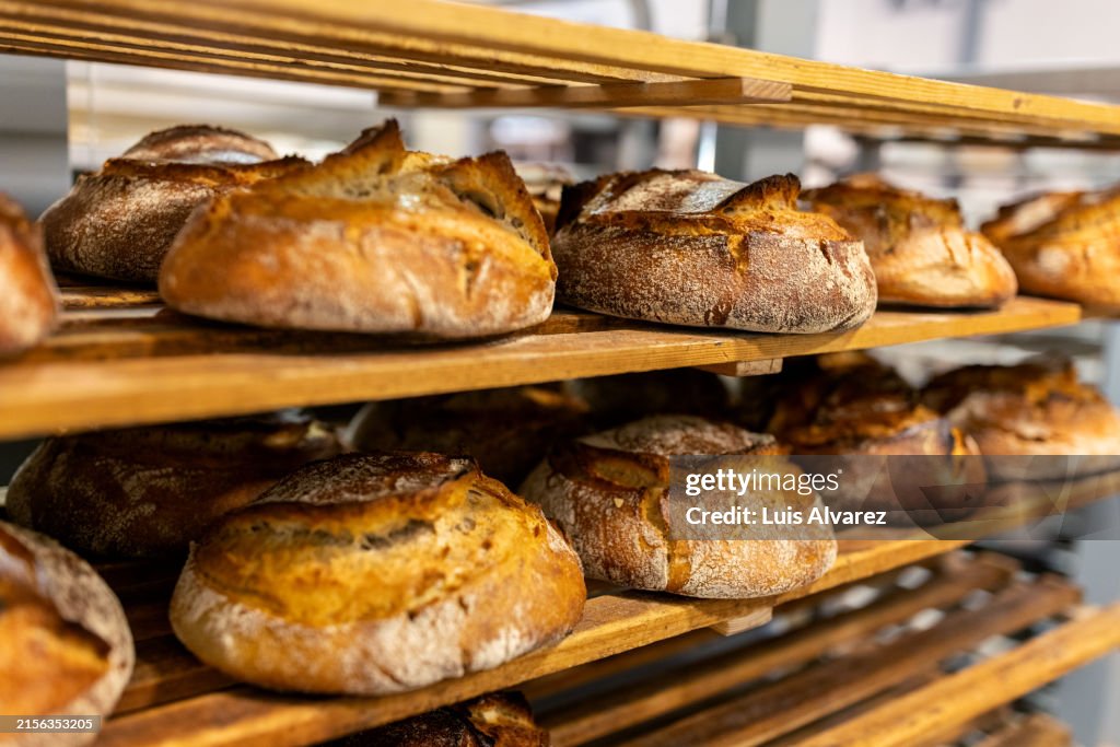Cooling rack filled with freshly baked artisanal breads in bakery