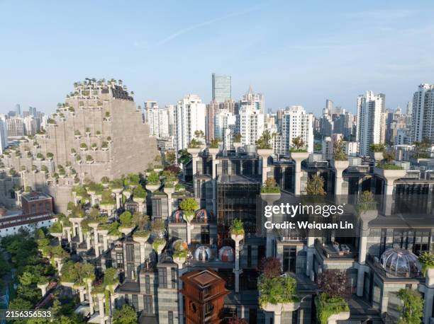 terrace roof garden, green urban life - city of chelsea stock pictures, royalty-free photos & images