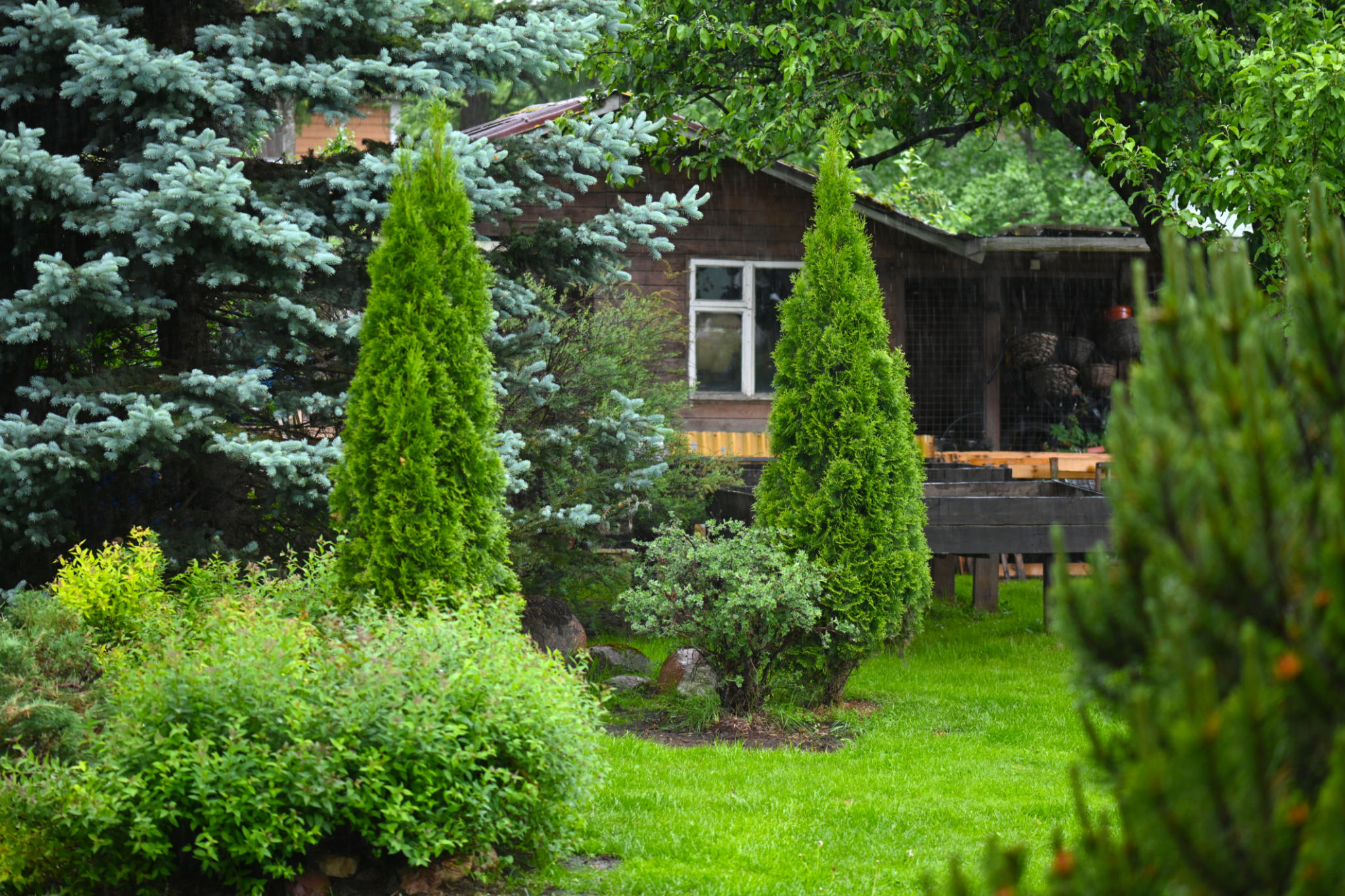 landscaping hurricane