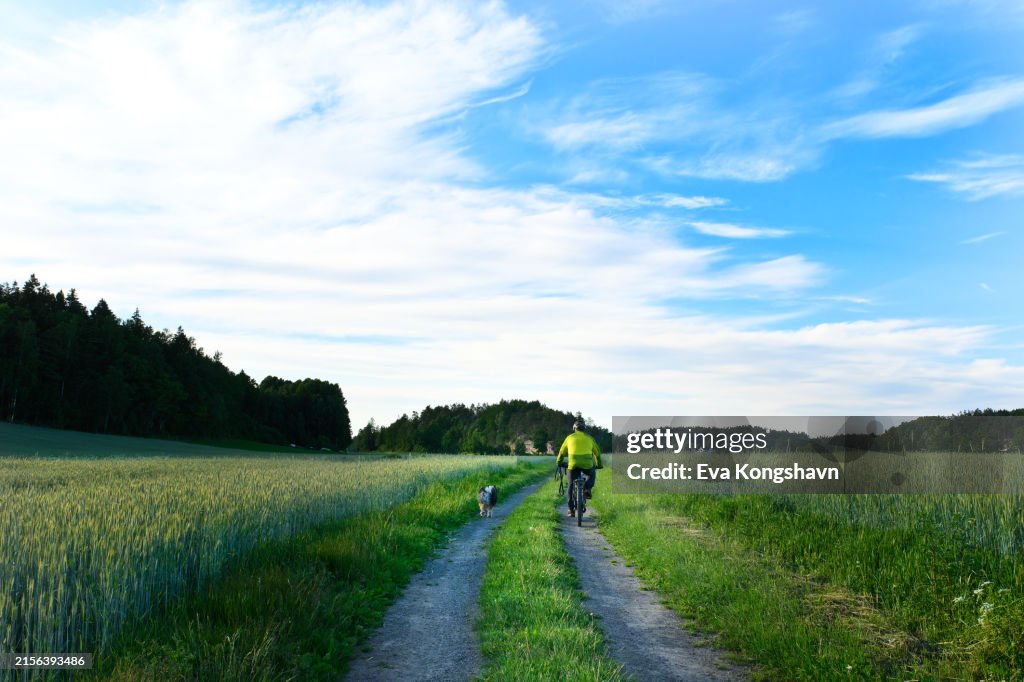 On the dirt road with fields of wheat on each side