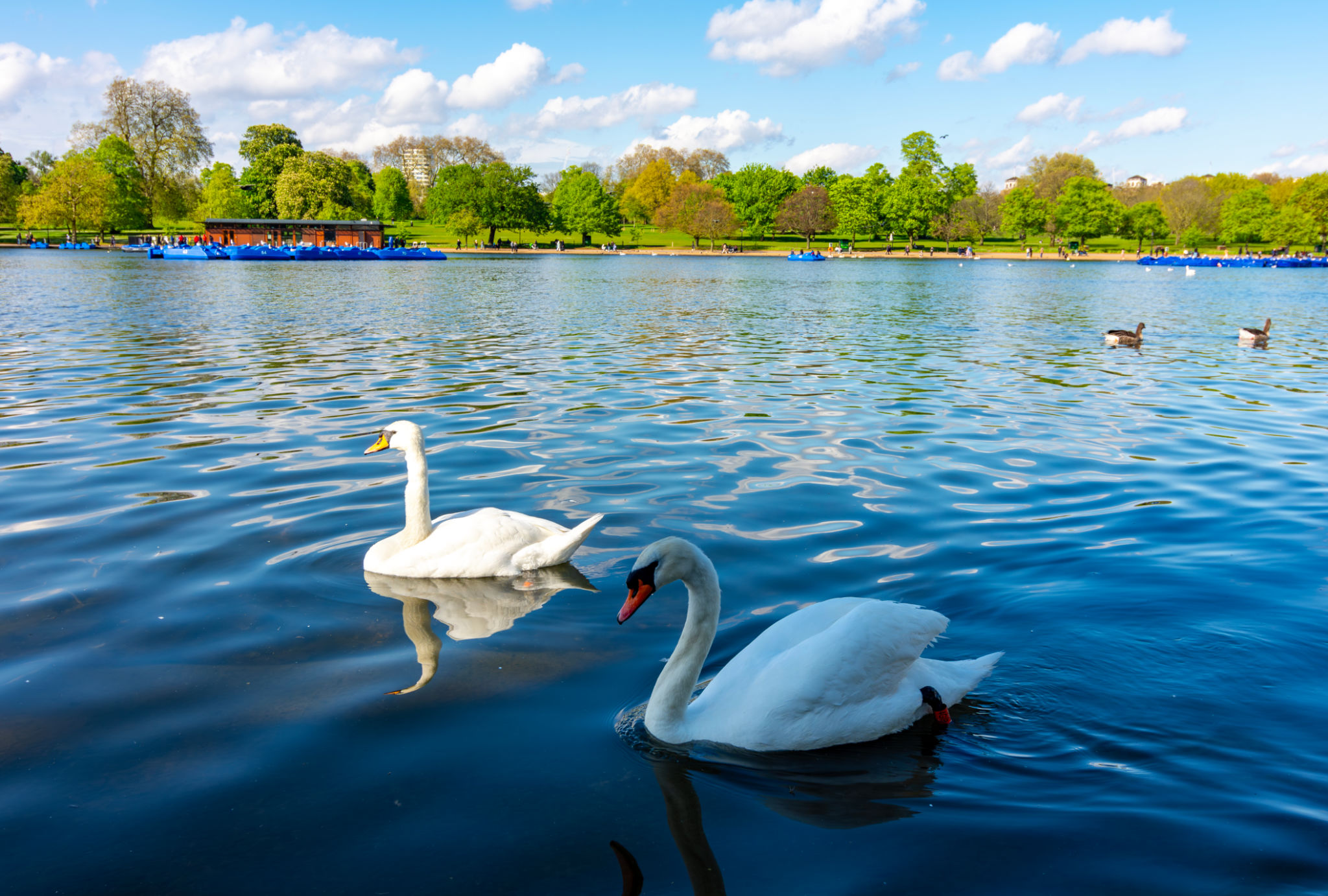 hyde park spring