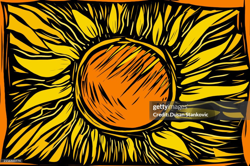 Sunny day