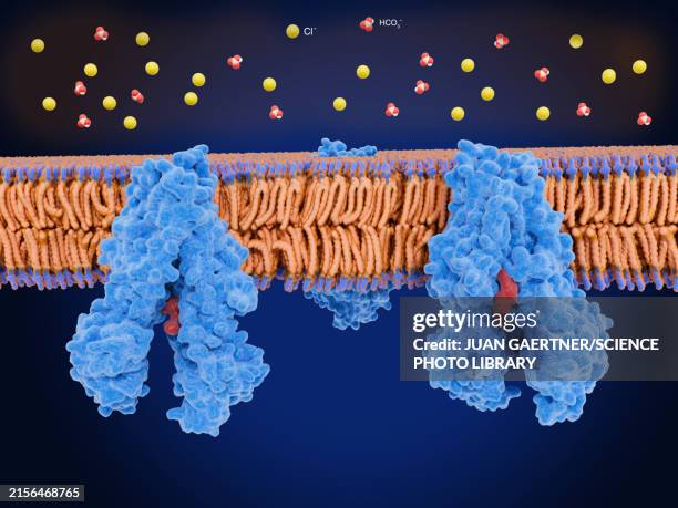 closed cftr proteins on lung membrane causing cystic fibrosis, illustration - genetic disorder stock illustrations