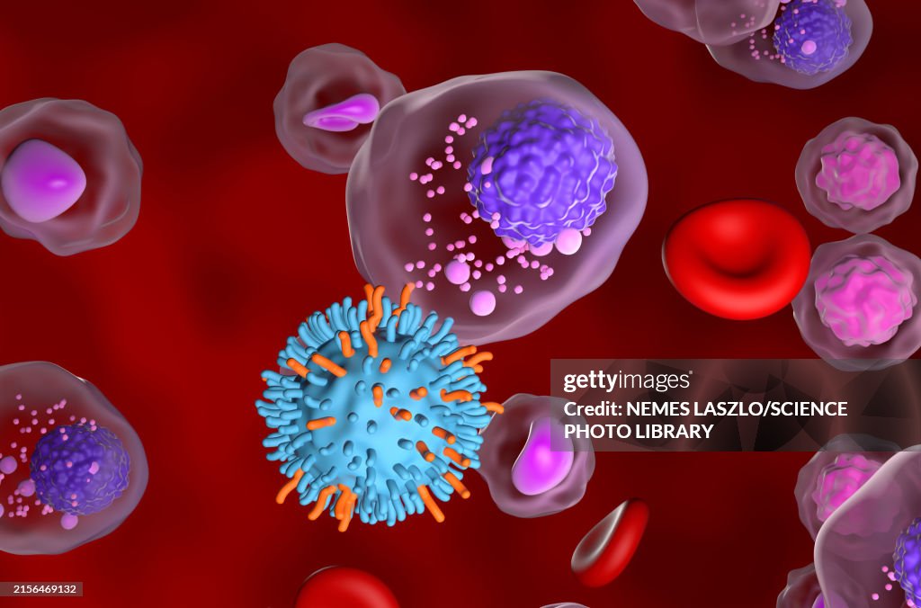 CAR-T cell therapy for multiple myeloma, illustration