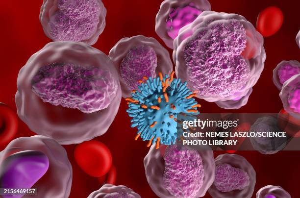 stockillustraties, clipart, cartoons en iconen met car-t cell attacking non-hodgkin's lymphoma cells, illustration - menselijk bloed