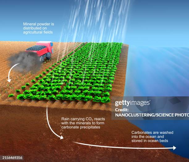 rock weathering for carbon dioxide removal, illustration - carbonates stock illustrations
