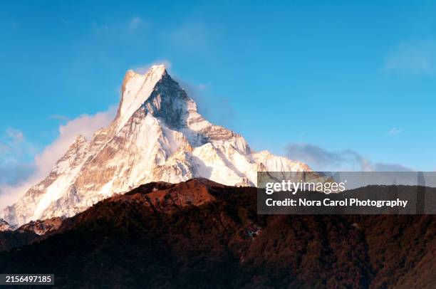 close up of fish tail mountain or machhapuchare in annapurna himalaya - tibetan culture stock pictures, royalty-free photos & images