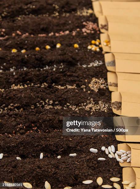 high angle view of spices on table - dirty lettuce stock pictures, royalty-free photos & images
