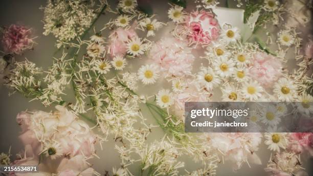 día de spa. bañera llena de flores aromáticas flotando en la superficie del agua para una rutina de cuidado de la piel a base de hierbas - angiosperma fotografías e imágenes de stock