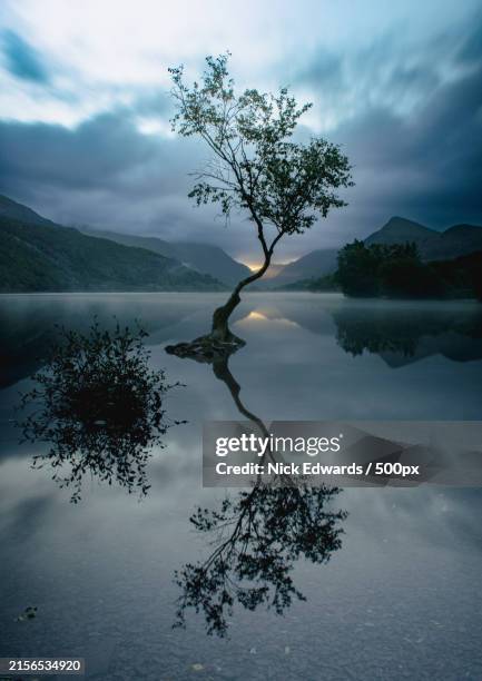 scenic view of lake against sky,llyn padarn,caernarfon,united kingdom,uk - lake padarn stock pictures, royalty-free photos & images