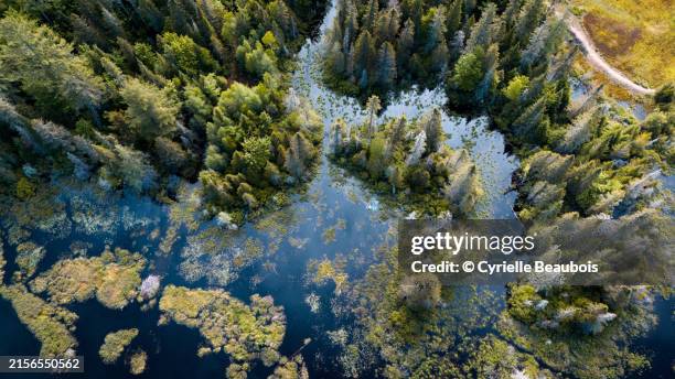 mirror of the sky: aerial serenity over quebec's lakes - north stock pictures, royalty-free photos & images