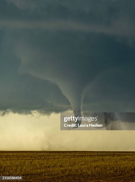 209 Vortex Spring Stock Photos, High-Res Pictures, and Images - Getty ...