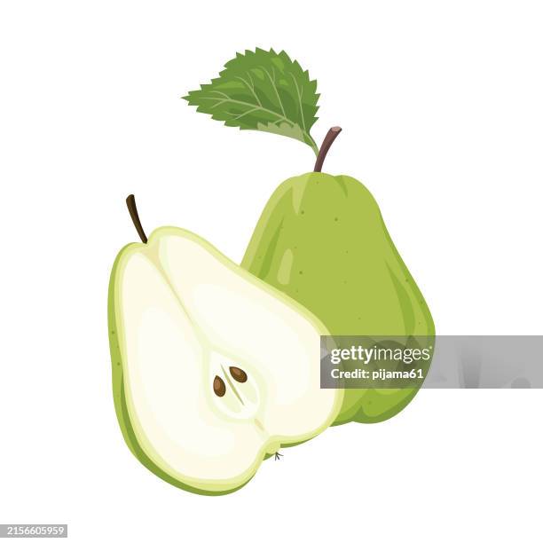 ilustraciones, imágenes clip art, dibujos animados e iconos de stock de pera verde y mitad de pera. - pera