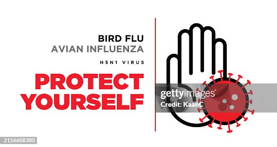 Flu Design Bird Flu Or Avian Influenza Template Design Vector Stock Illustration ...