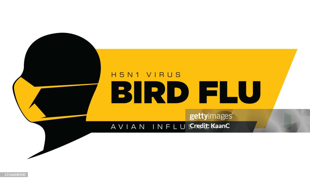 Flu Design Bird Flu Or Avian Influenza Template Design Vector Stock Illustration ...