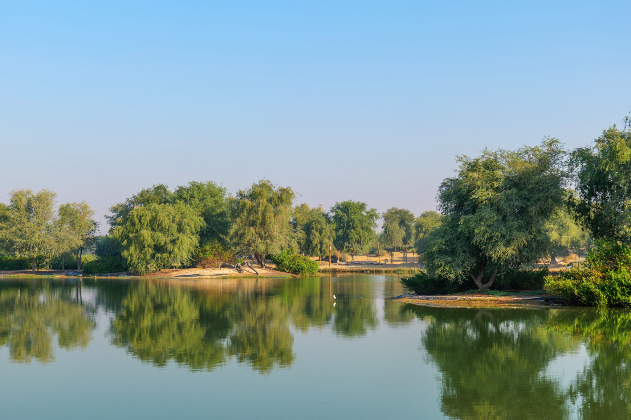 al qudra lakes