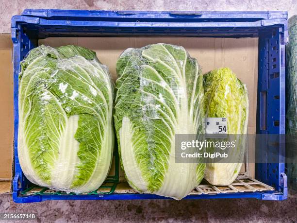 packaged napa cabbage display in supermarket - bok choy stock pictures, royalty-free photos & images