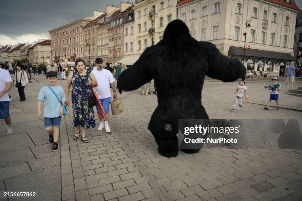Gorilla figure is seen interacting with visitors to the Old Town in Warsaw, Poland on 02 June, 2024.