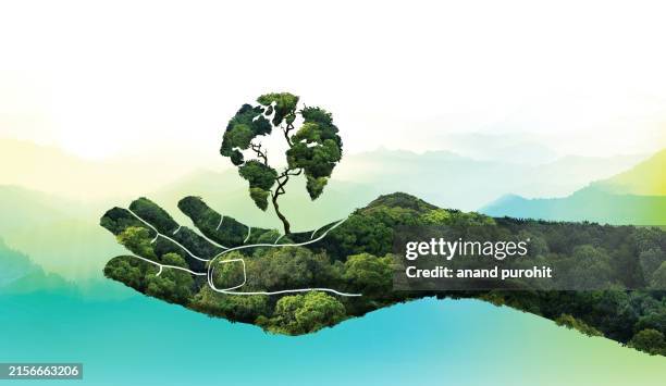 world environment day - journée mondiale de la terre photos et images de collection