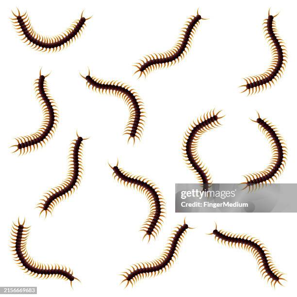 centipede icon set - centipede stock illustrations