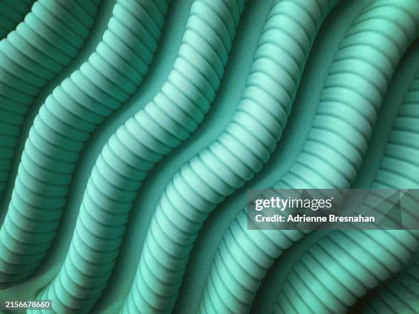 rubber worm molding - corrugated stock pictures, royalty-free photos & images