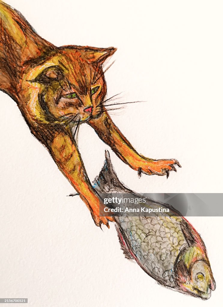Illustration einer rothaarigen Katze, die einen Fisch fängt.