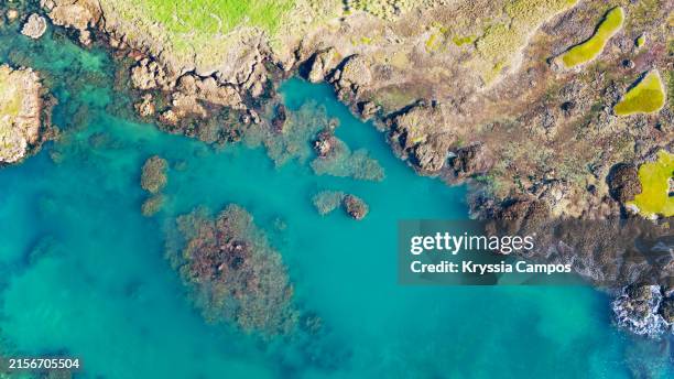 caribbean beach texture seen from above - cahuita stock-fotos und bilder